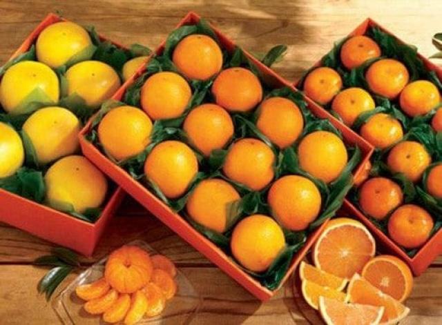 الزراعة: مصر الأولى عالميا في تصدير البرتقال