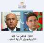 وزير الخارجية سامح شكري يتلقى...