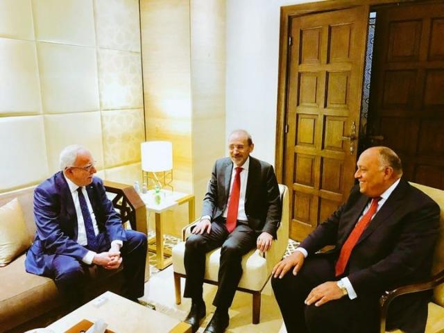 وزير الخارجية يجتمع بنظيره الأردني لمناقشة تطورات القضية الفلسطينية ومجالات التعاون بين البلدين