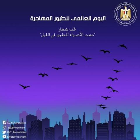 مصر تشارك العالم الاحتفال باليوم العالمى للطيور المهاجرة