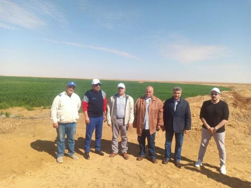 وزير قطاع الأعمال من توشكي: التوسع في زراعة القمح وزيادة مساحته إلى 50% من إجمالي المساحة