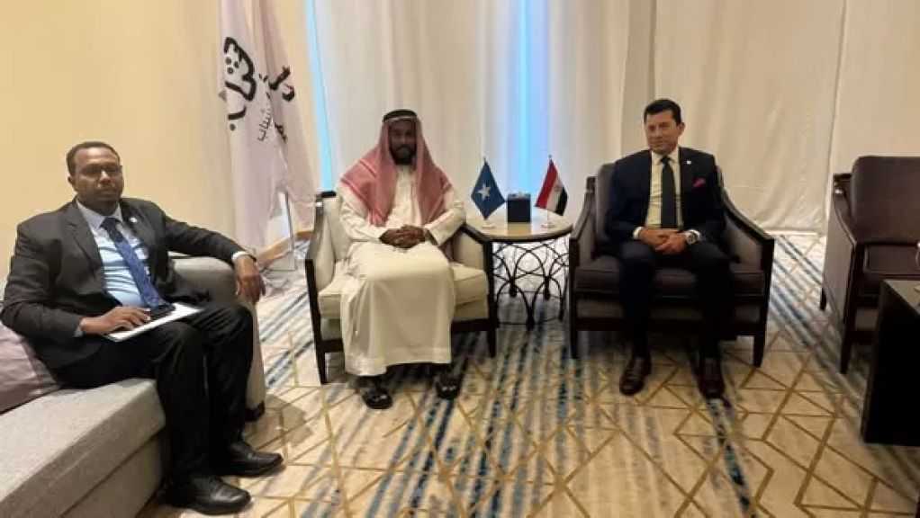 الرياضة