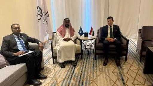 الرياضة