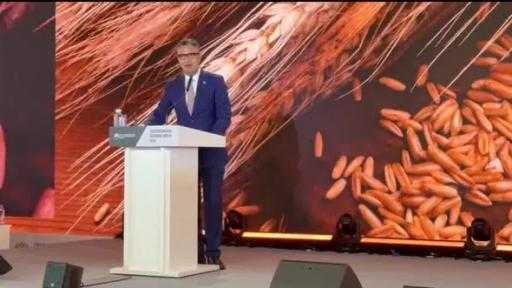 اقتصاد